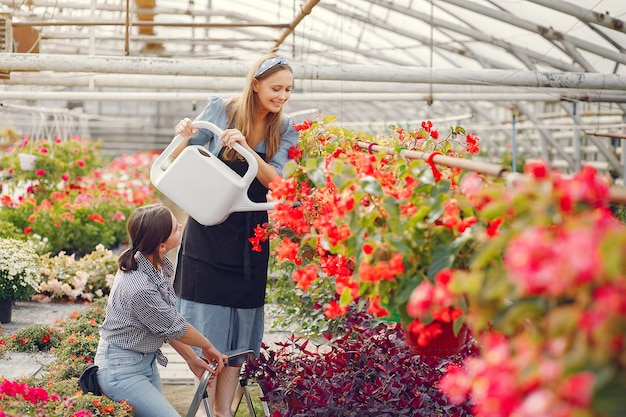 Frauen arbeiten in einem Gewächshaus mit einem Blumentopf