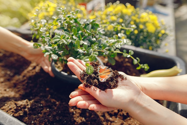 Frauen arbeiten in einem Gewächshaus mit einem Blumentopf