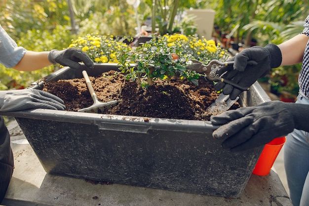 Kostenloses Foto frauen arbeiten in einem gewächshaus mit einem blumentopf