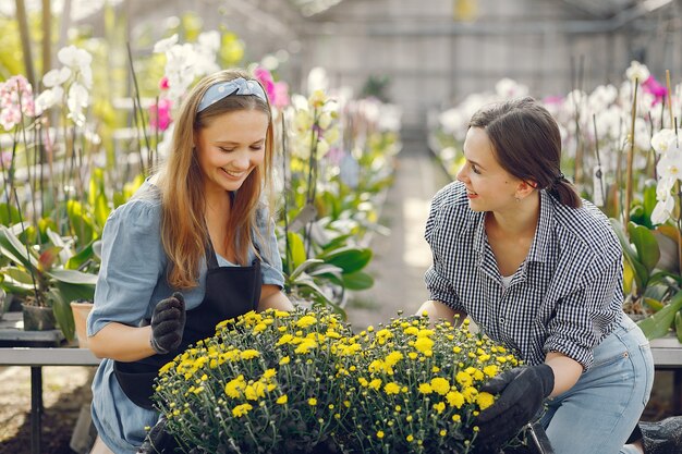 Frauen arbeiten in einem Gewächshaus mit einem Blumentopf