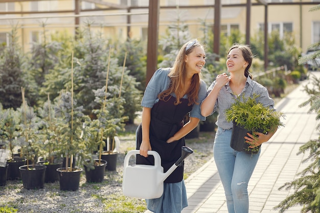 Frauen arbeiten in einem Gewächshaus mit einem Blumentopf