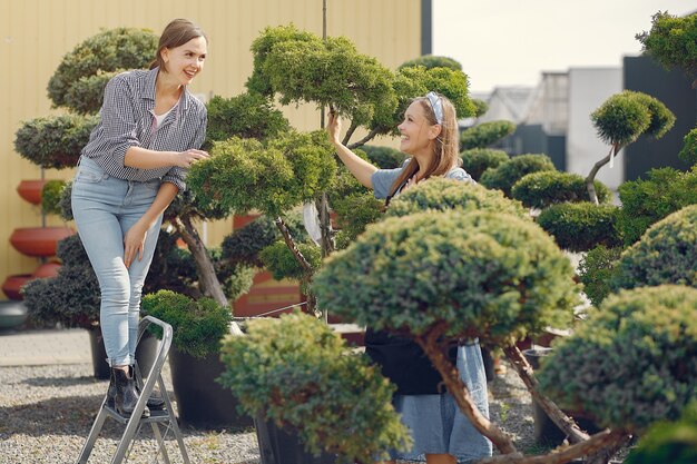 Frauen arbeiten in einem Gewächshaus mit grünen Bäumen