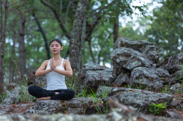 Frauen, die trainieren, Yoga im Park machen, Weltyogatag.