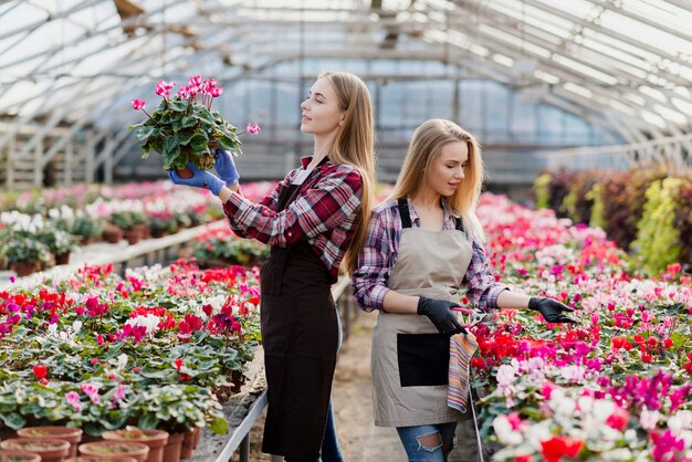 Frauen leidenschaftlich über Blumen im Gewächshaus