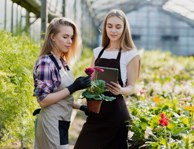 Frauen mit Schürze im Gewächshaus