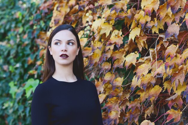 Frauen mit trockenen Blättern Hintergrund