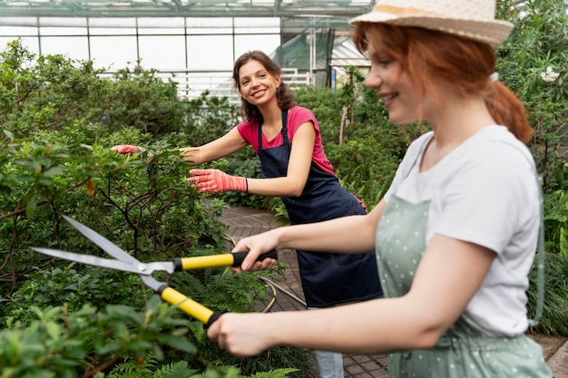 Frauen pflegen ihre Pflanzen in einem Gewächshaus