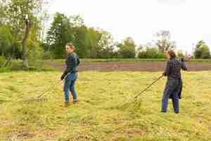 Kostenloses Foto frauen sammeln gras