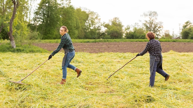 Frauen sammeln Gras