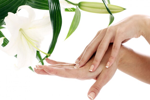 Frauenhände und lilly Blume