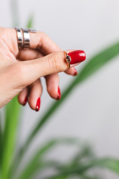 Frauenhand mit roter Maniküre und zwei Ringen an den Fingern, auf schönem grünem Palmblatt tropisch. Graue Wand dahinter.