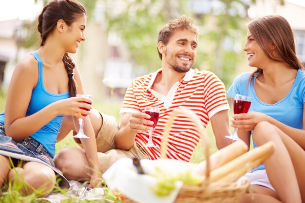 Freunde genießen Picknick in der Landschaft