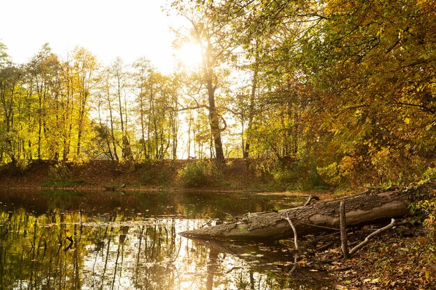 Friedliche Mutter-Natur-Landschaft