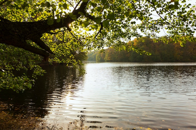 Friedliche mutter natur landschaft