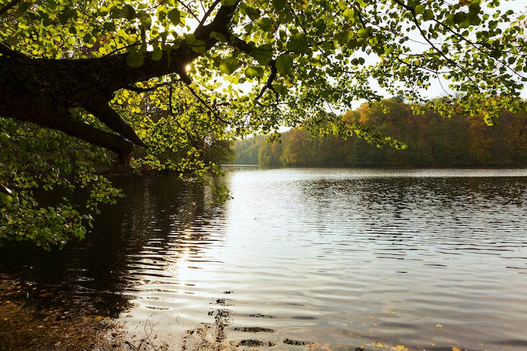 Kostenlose Foto friedliche mutter natur landschaft