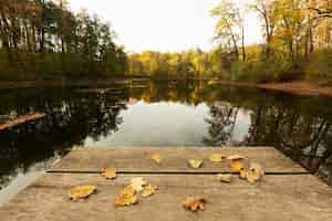 Kostenloses Foto friedliche mutter natur landschaft