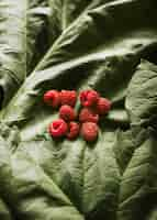 Kostenloses Foto frische bio-himbeeren auf grünem blatt-flatlay