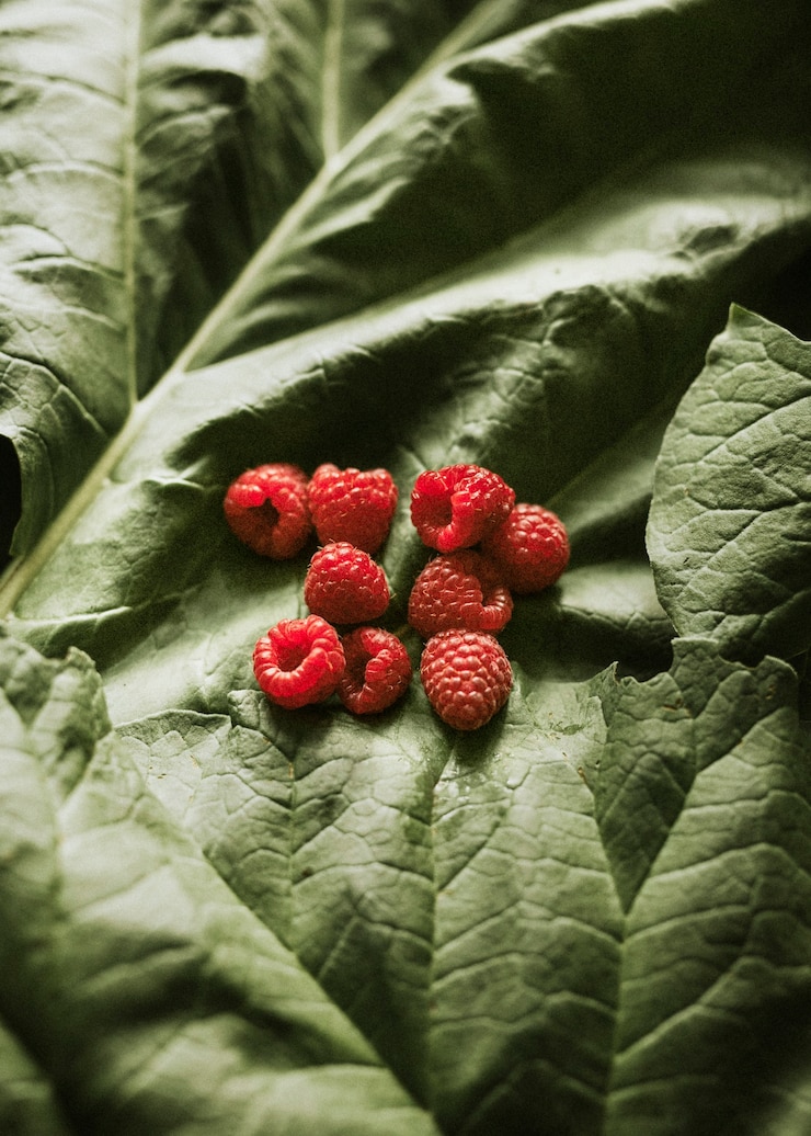 Kostenlose Foto frische bio-himbeeren auf grünem blatt-flatlay