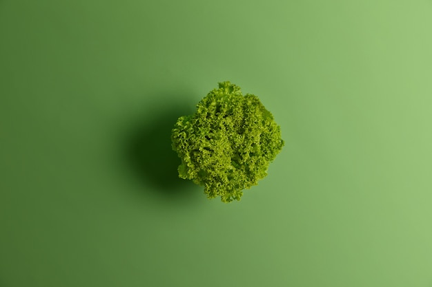 Frische Bio-Salatsalatblätter auf grünem lebendigem Hintergrund. Selektiver Fokus, Draufsicht und Kopierraum. Richtige gesunde Ernährung und Lebensmittelkonzept. Vegetarische Küche und Gemüse