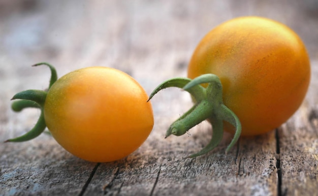 Frische bio-tomaten auf holzoberfläche