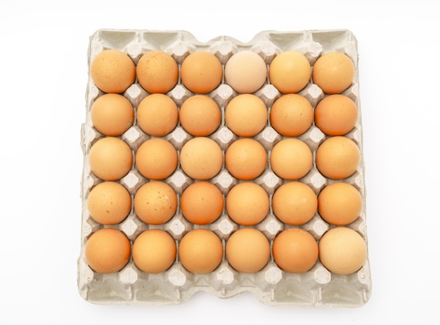 Frische Eier im Paket auf weißem Hintergrund.