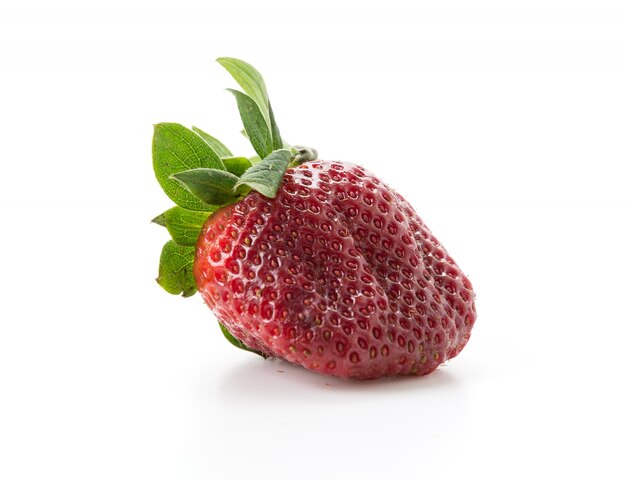 Frische Erdbeere