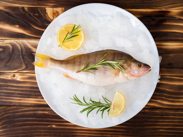 Frische Fische der Draufsicht auf Platte mit Kräutern