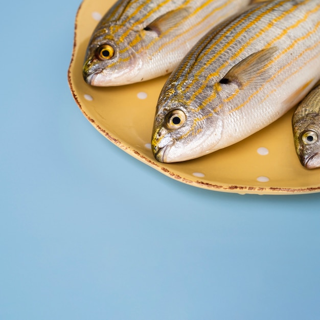 Kostenloses Foto frische fische der nahaufnahme auf einem platz