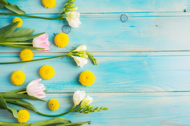 Frische gelbe Blütenknospen und -blüte auf grünen Stielen