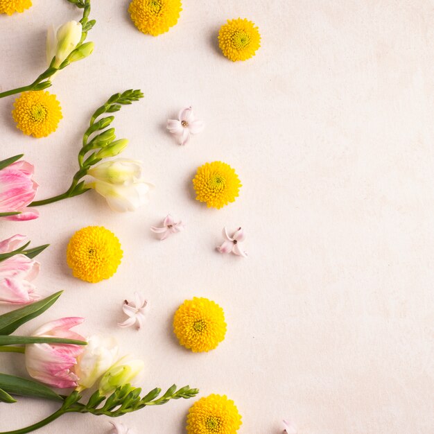 Frische gelbe Blütenknospen und wunderbare Blüten auf grünen Stielen