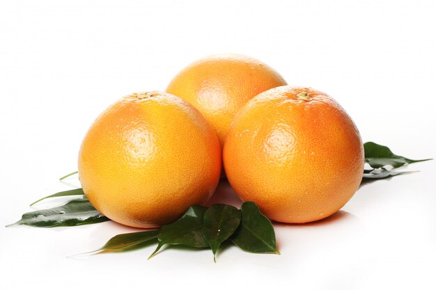 Frische Grapefruits