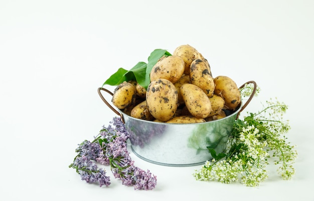 Frische Kartoffeln in einem Metalltopf mit Blumen und Blättern Seitenansicht
