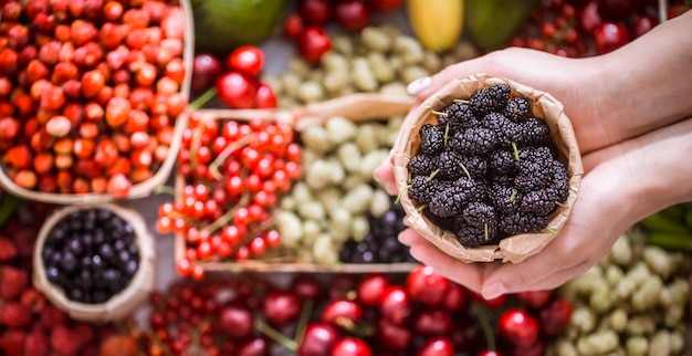 frische Maulbeere in den Händen eines Mädchens