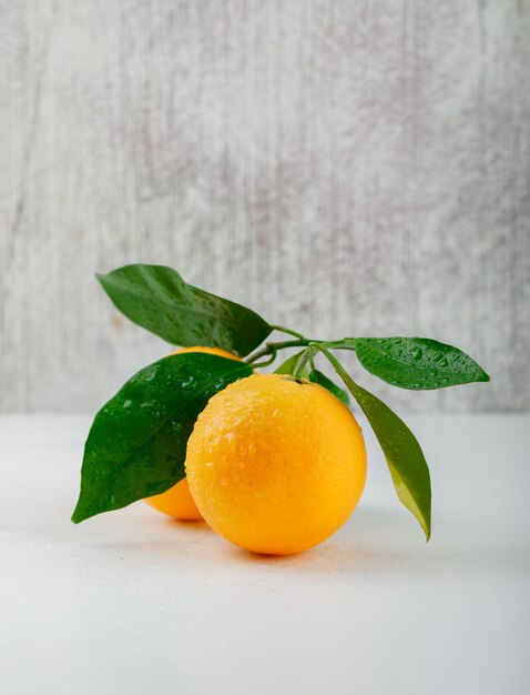 Frische Orangen mit Seitenansicht des Zweigs