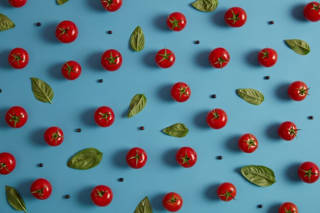 Frische organische rote Tomaten, Pfefferkörner und Basilikumblätter auf blauem Hintergrund. Gemüse für die Zubereitung von Salat geerntet. Gesundes Essen und Vitaminkonzept. Horizontale Aufnahme, Draufsicht. Leckeres natürliches Essen