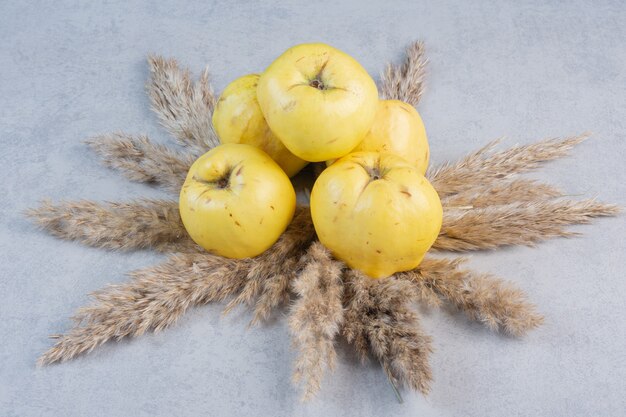 Frische reife organische Quitten auf grauem Hintergrund. Gesunde gelbe Fruchtquitte.