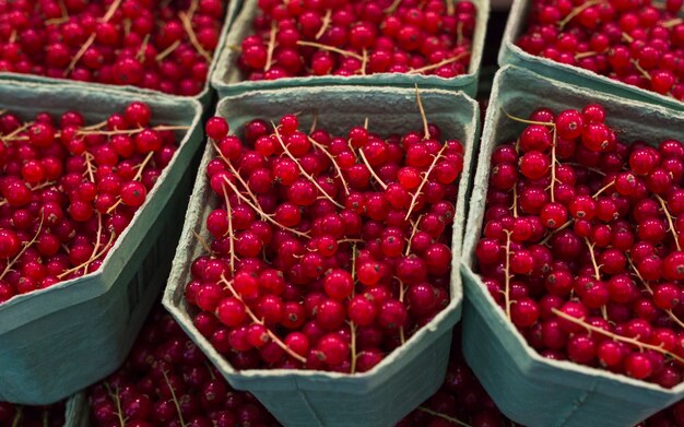 Frische rote Johannisbeeren im Karton