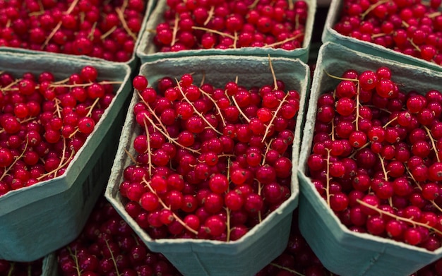 Frische rote Johannisbeeren im Karton