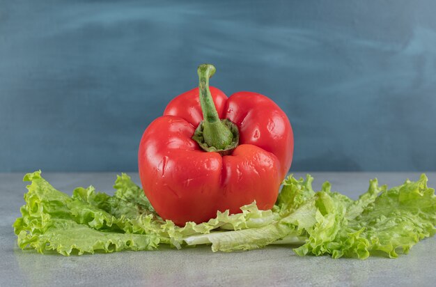 Frische rote Paprika mit Salat auf grauem Hintergrund. Foto in hoher Qualität