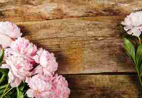 Kostenloses Foto frische schöne pfingstrosenblumen