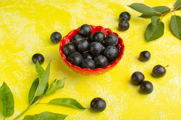 frische Schwarzdorn innen Platte auf gelb