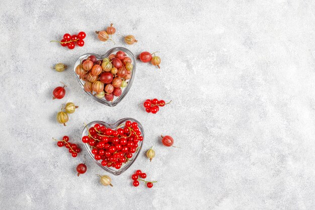 Frische süße Bio-Stachelbeeren und rote Johannisbeeren in Schalen