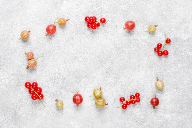 Frische süße Bio-Stachelbeeren und rote Johannisbeeren in Schalen