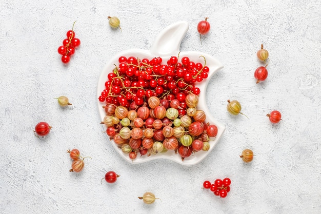 Frische süße Bio-Stachelbeeren und rote Johannisbeeren in Schalen