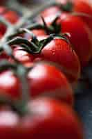 Kostenloses Foto frische tomaten auf einem zweig