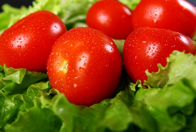 Frische und feuchte Tomaten