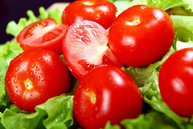 Frische und feuchte Tomaten