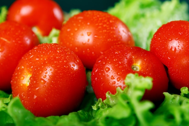 Frische und feuchte Tomaten