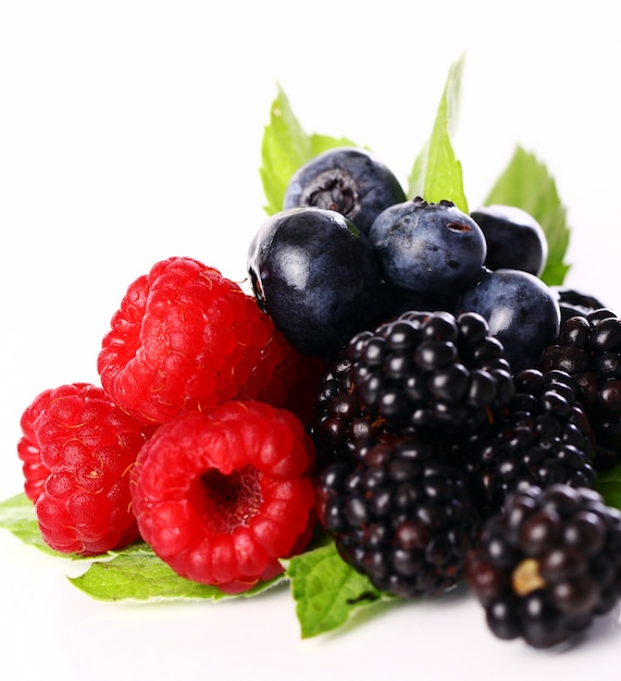 Frische Waldbeeren über Weiß