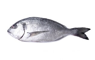 Kostenloses Foto frischer fisch auf weiß